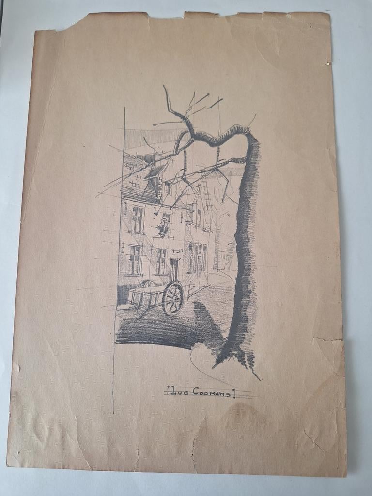 Coomans tekening, Ophalen of Verzenden