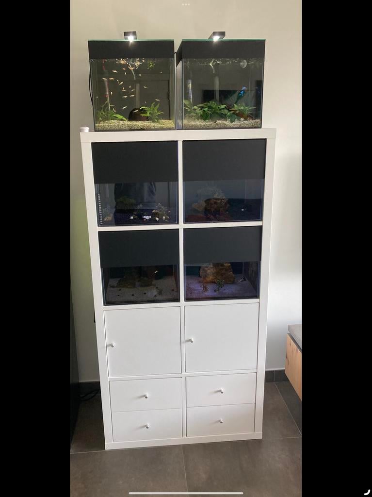 Aquarium stelling, Animaux & Accessoires, Poissons | Aquariums & Accessoires, Comme neuf, Enlèvement
