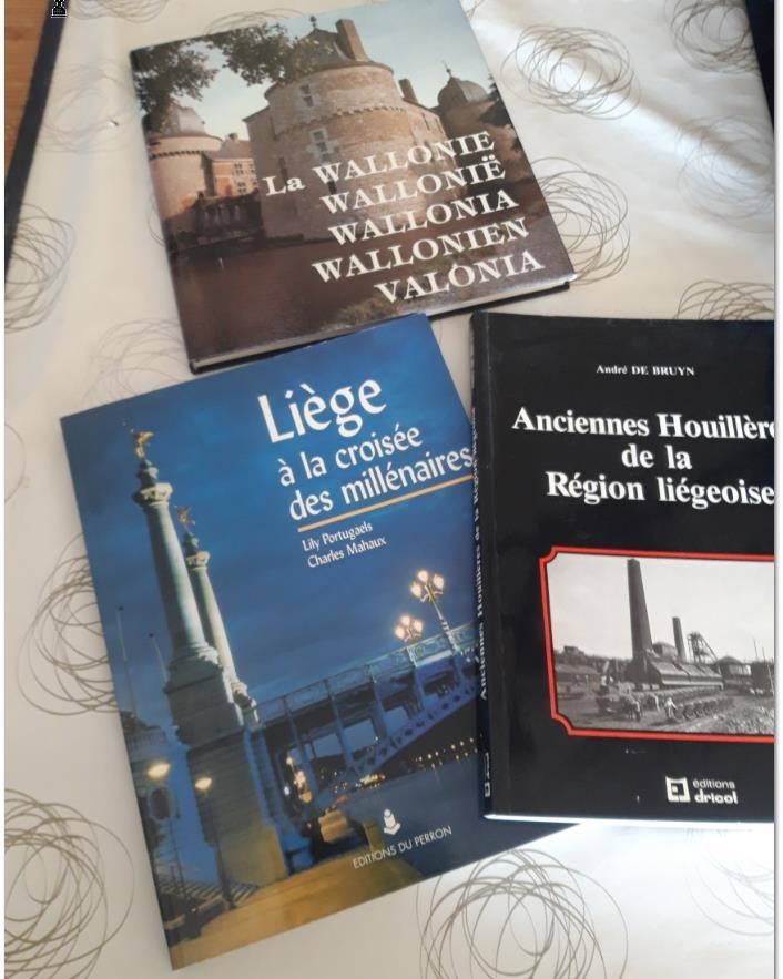Livres sur la Wallonie, Livres, Enlèvement ou Envoi, Comme neuf, Autres sujets/thèmes