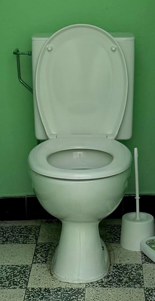 Toilet Geberit, Doe-het-zelf en Bouw, Sanitair, Ophalen, Zo goed als nieuw, Toilet