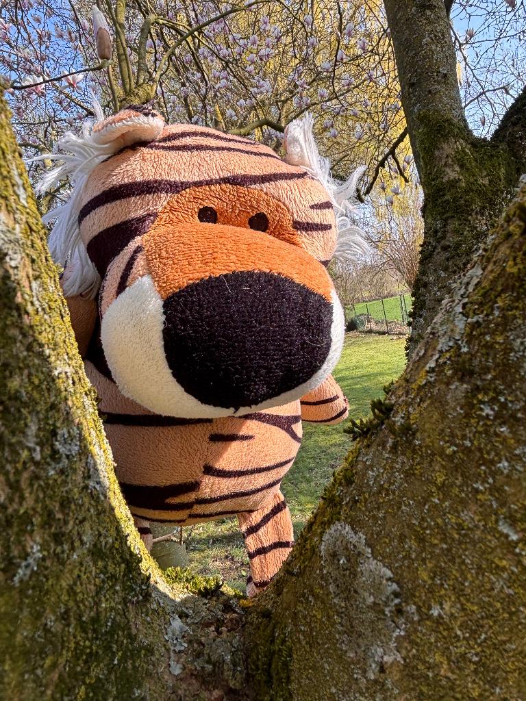 Tigre en peluche, Enfants & Bébés, Enlèvement ou Envoi