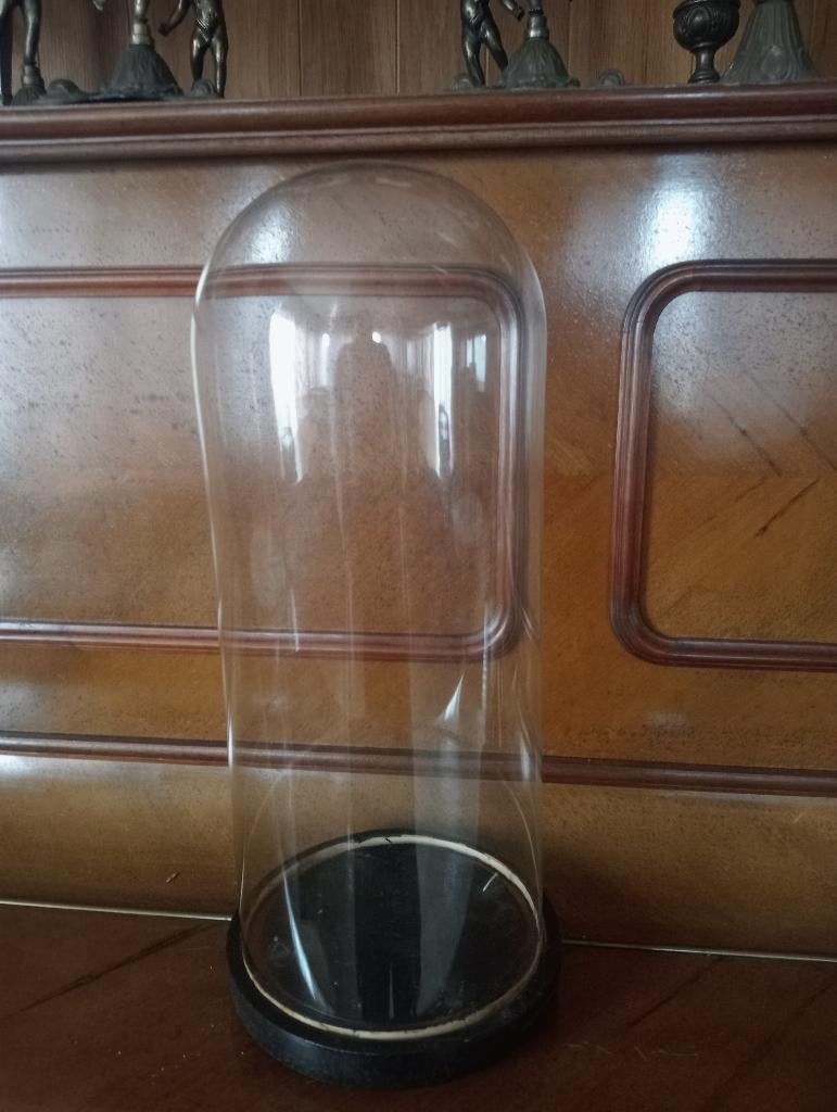 Glazen stolp, Huis en Inrichting, Woonaccessoires | Stolpen, Ophalen, Gebruikt