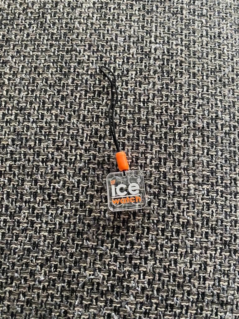 Porte clé Ice watch, Collections, Enlèvement ou Envoi, Neuf, Marque