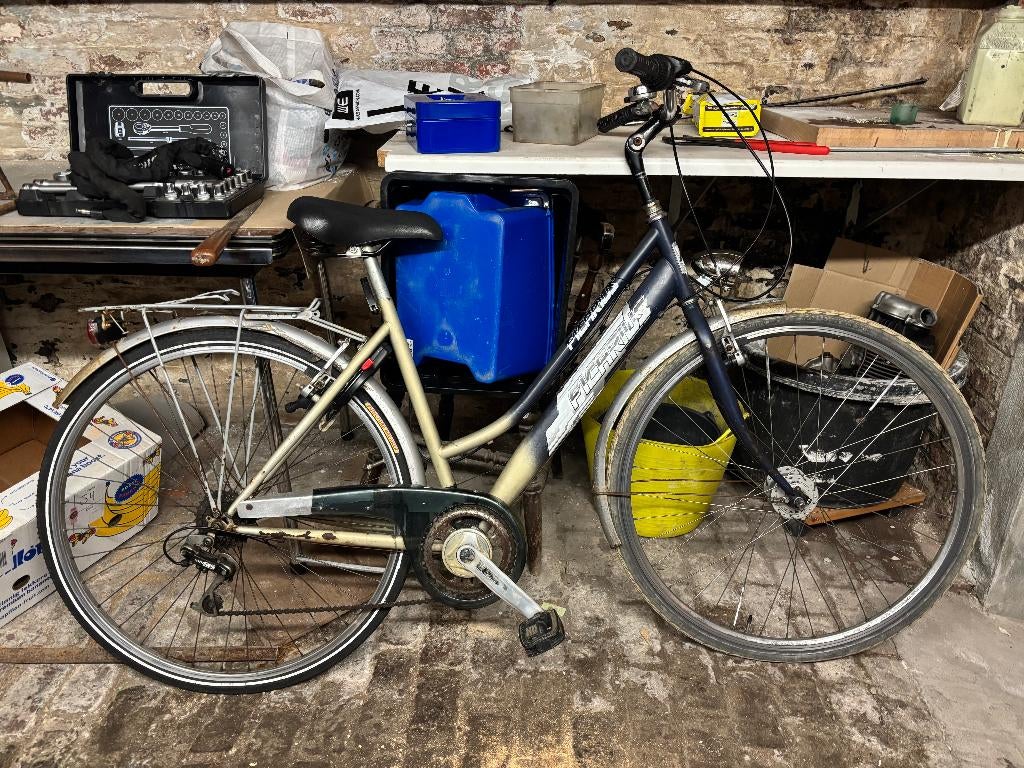 Vélo FICARUS pour femme, taille 50, Enlèvement, Vitesses