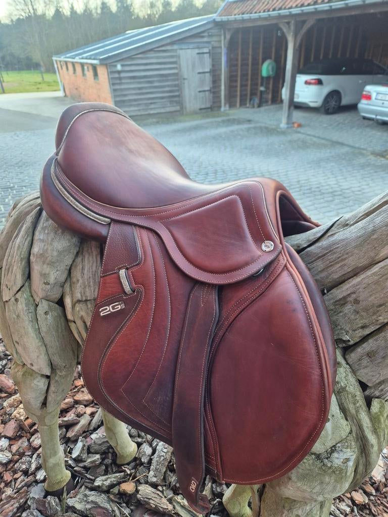 Cwd mademoiselle 17.5 inch, Dieren en Toebehoren, Ophalen of Verzenden