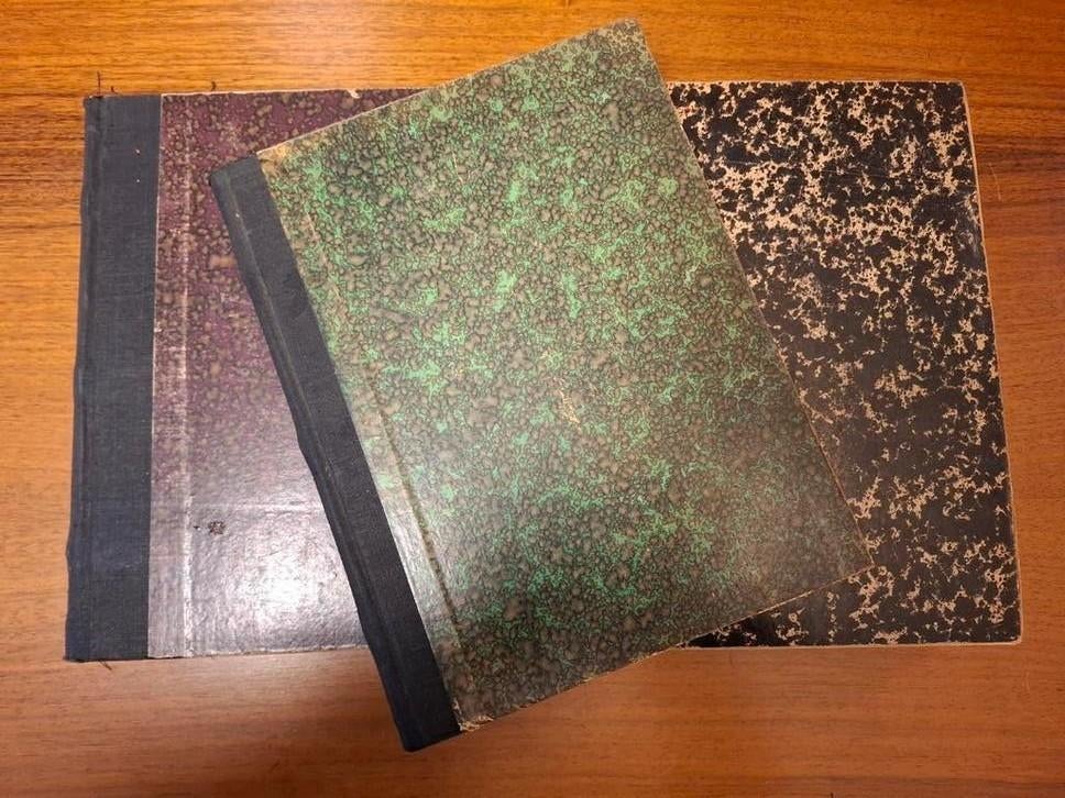 Pallieter: ingebonden jaargangen 1926,1927,1928, Boeken, Politiek en Maatschappij, Ophalen