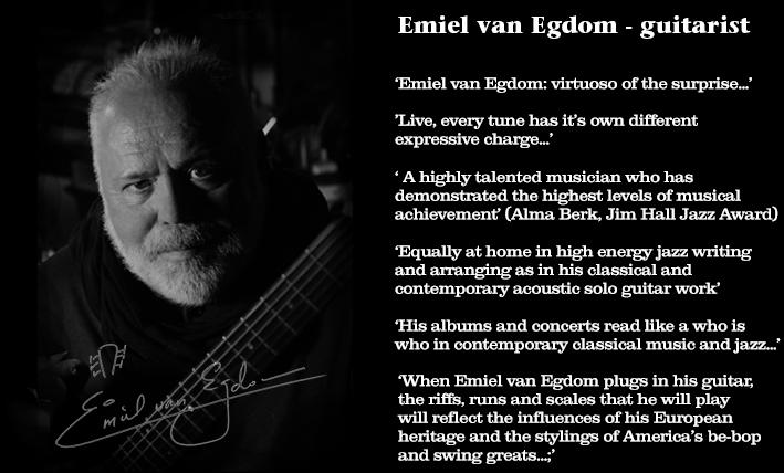 Muziekles, gitaarles door ervaren, gediplomeerd, bevoegd doc, Ophalen of Verzenden, Gebruikt