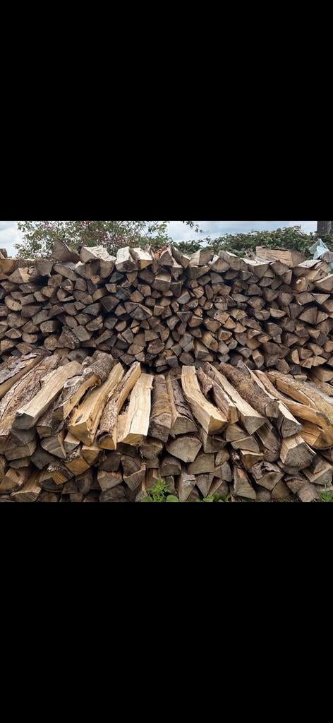 bois de chauffage, 6 m³ ou plus, Enlèvement ou Envoi, Frêne, Bûches