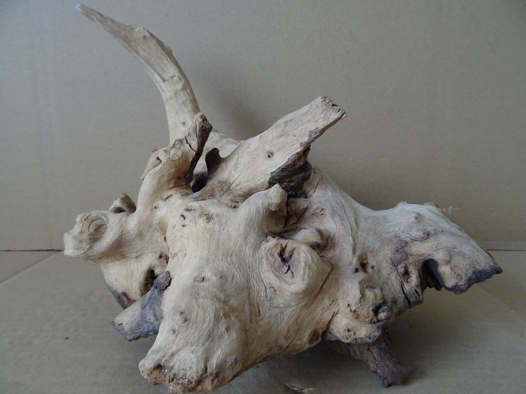 Curiosa houten beeld dier wortelhout wortelhouten beeld 23cm, Ophalen of Verzenden