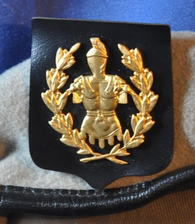 beret force terrestre belge composant blindé officer, Collections, Enlèvement ou Envoi, Armée de terre, Casque ou Béret