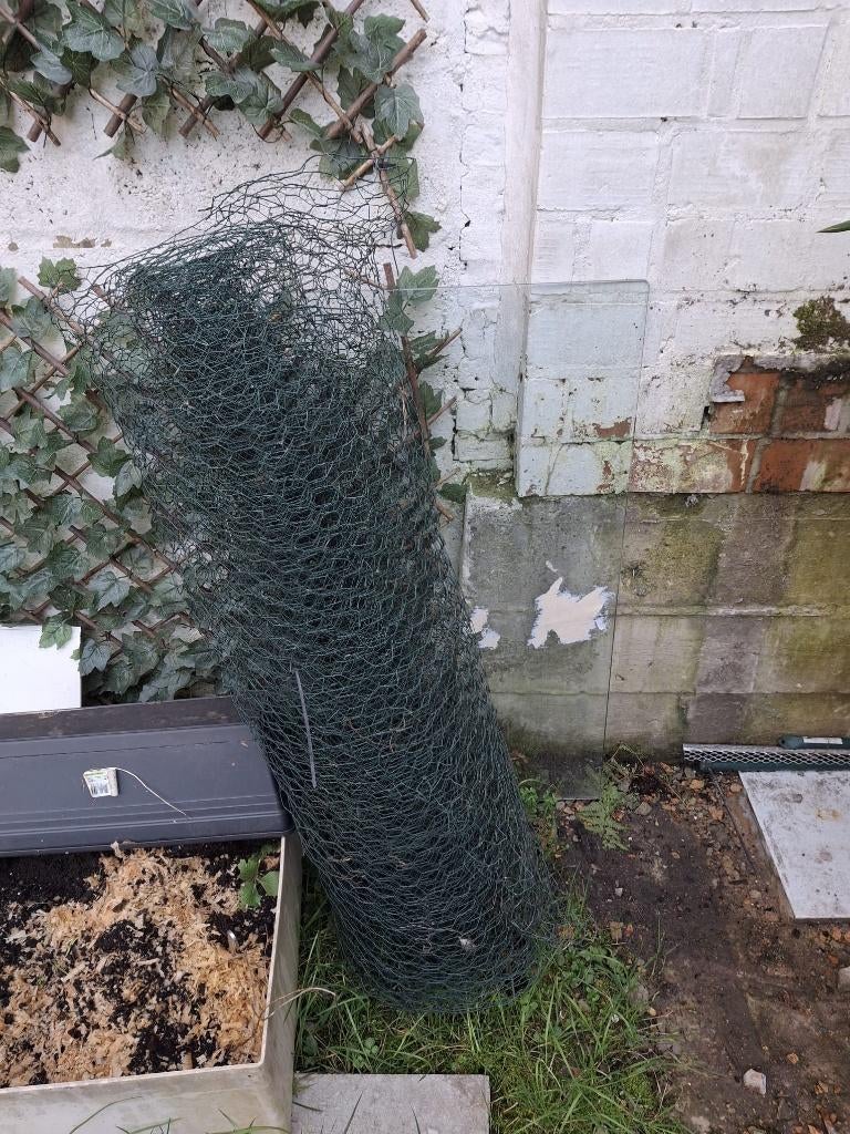 kippengaas 6 meter bij 1 meter 10, Dieren en Toebehoren, Oktober, Mannelijk