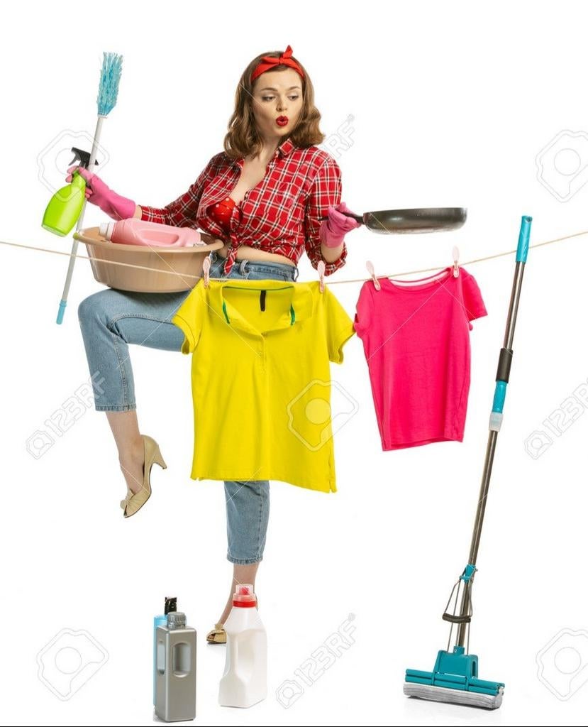 Ménage/repassage à domicile