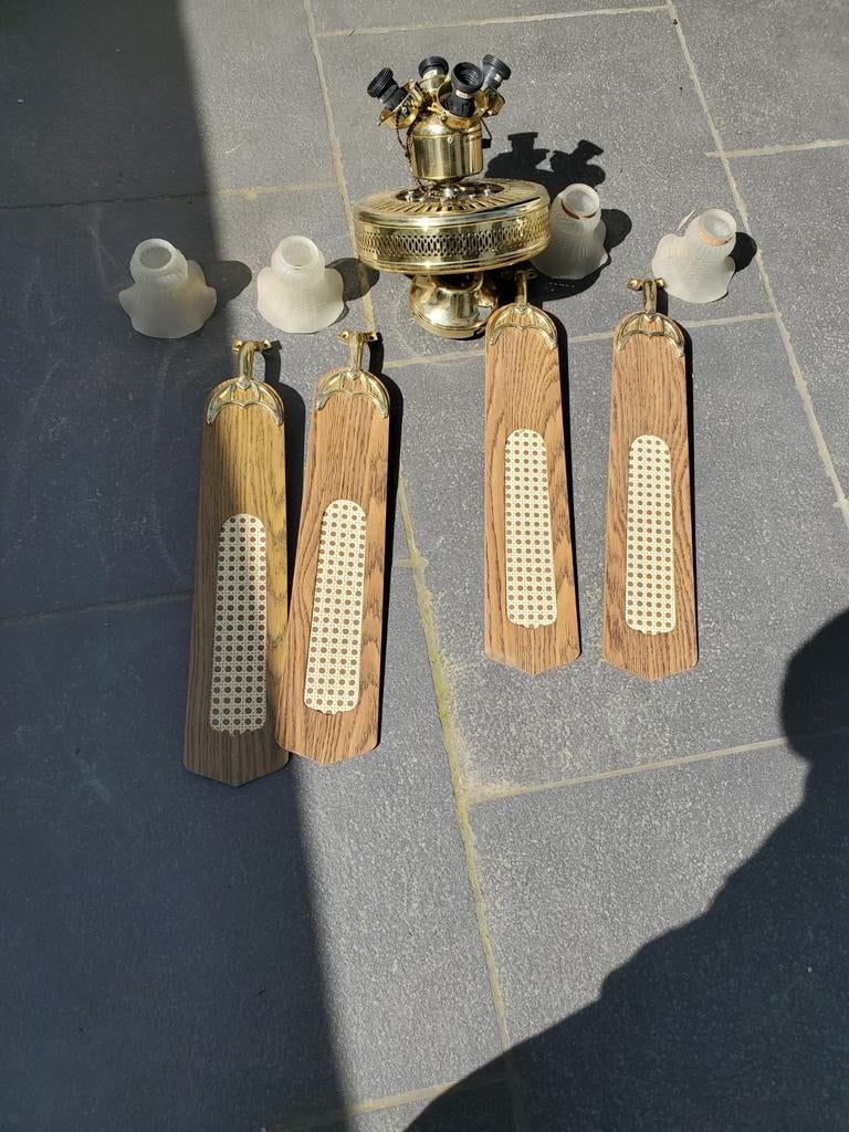 Ventilateur plafond avec lampes, Enlèvement, Ventilateur de plafond