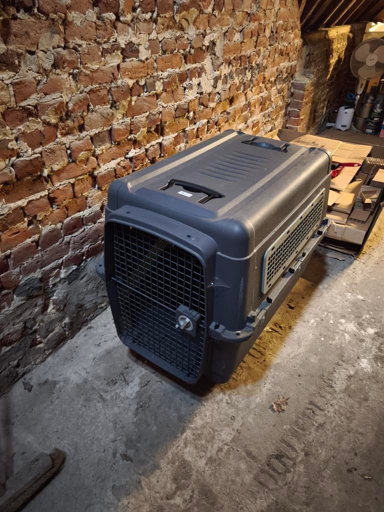 Cage de voyage pour grand chien xl