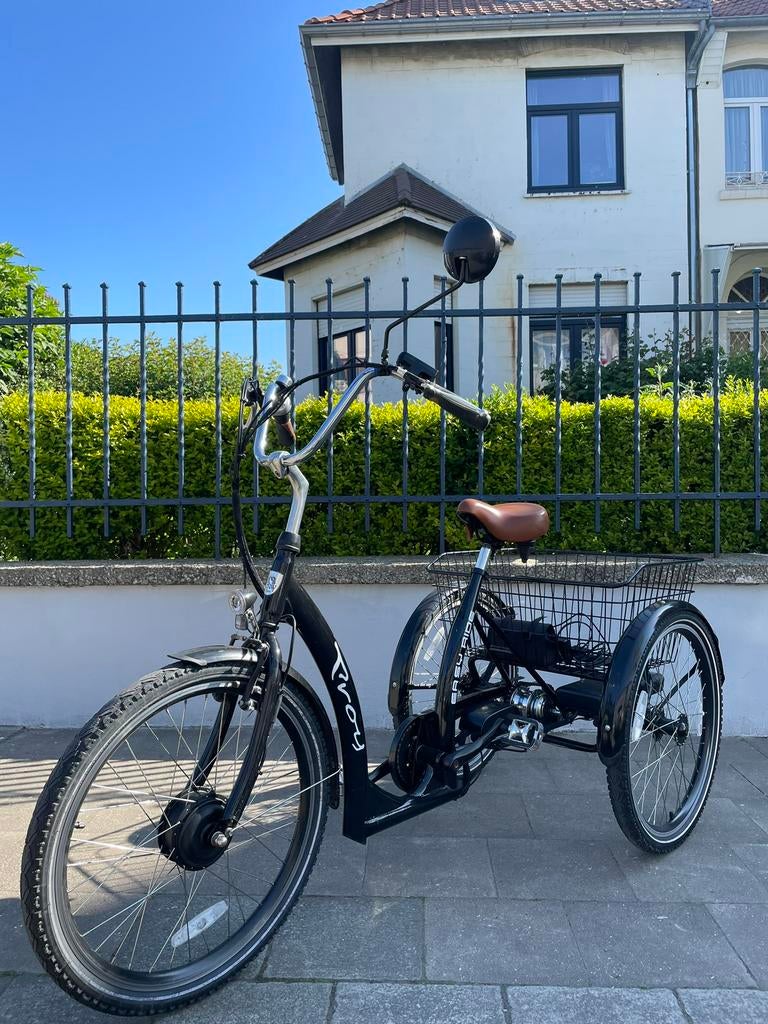 Easy Rider Proxy elektrische driewieler, nieuwstaat, Diversen, Ophalen of Verzenden, Zo goed als nieuw