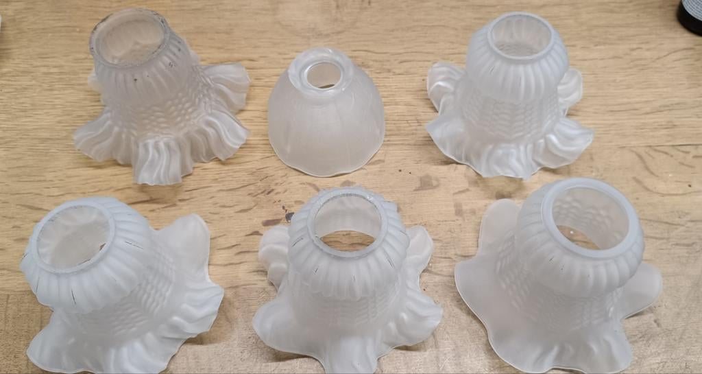 Tulipes verres, Enlèvement ou Envoi