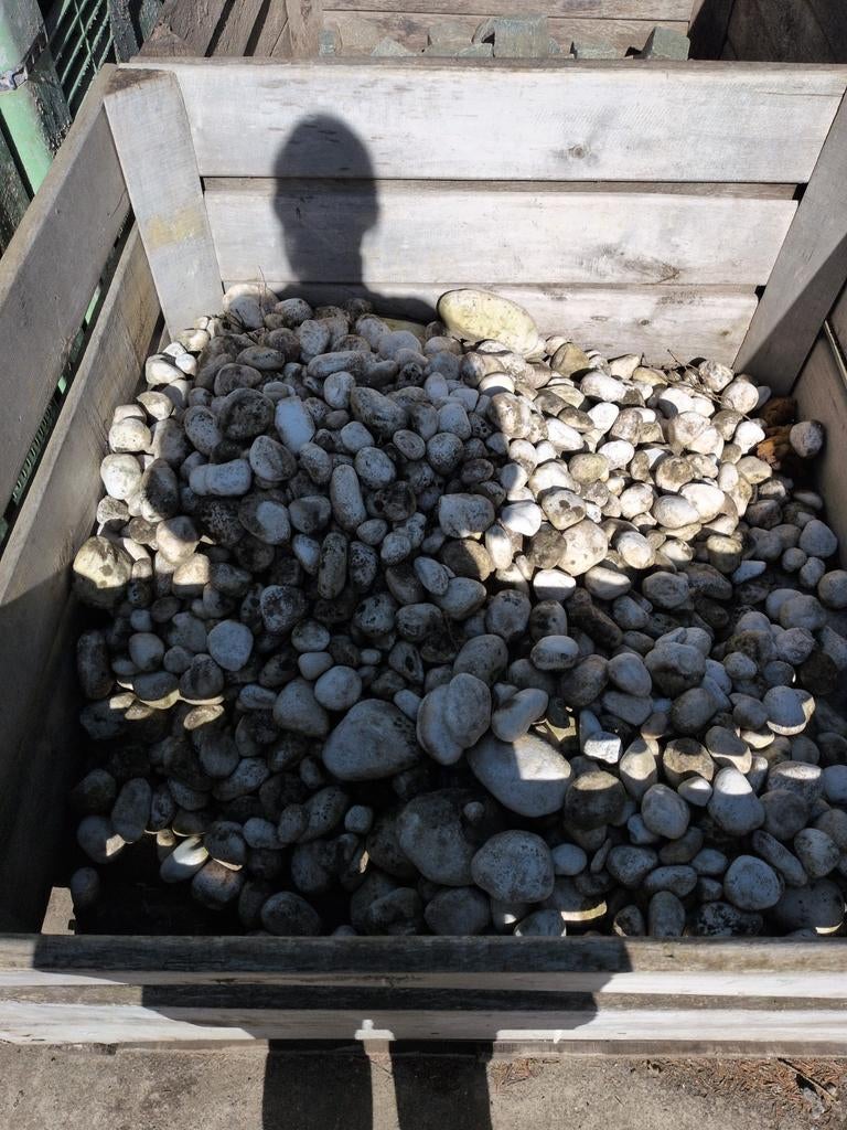 Des rochers blancs d'un demi-palox, Enlèvement