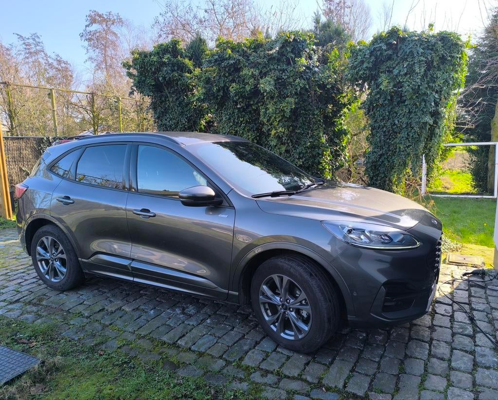 Ford Kuga Hybride, Autos, Argent ou Gris, Achat, Entreprise, Alcantara