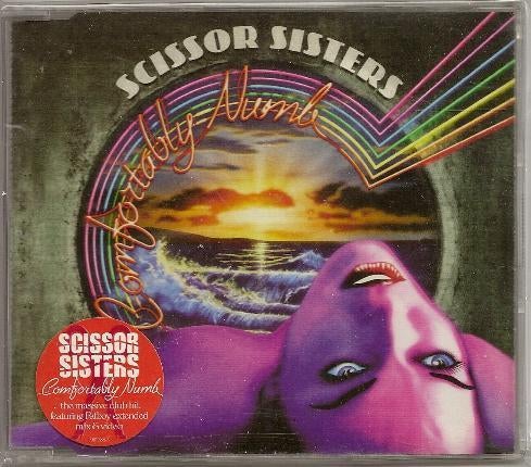 SCISSOR SISTERS - COMFORTABLY NUMB (PINK FLOYD) + VIDEO, Verzenden, Maxi-single, Dance, 1 single