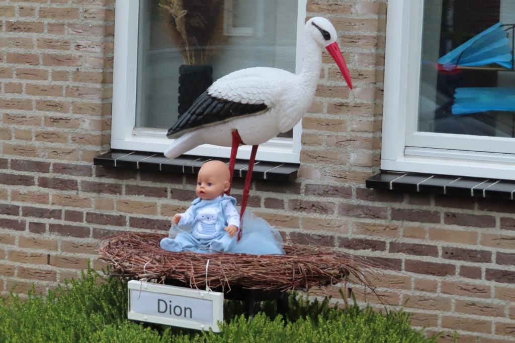 Geboorteborden / ooievaar / ooievaar op nest., Enlèvement, Neuf, Tableau de naissance