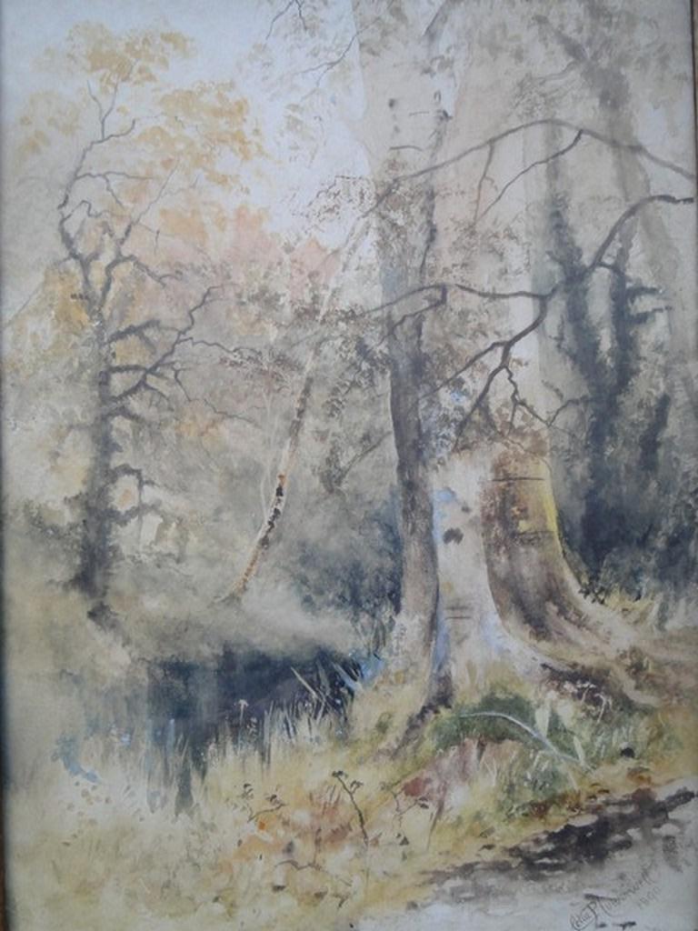 Celia P. Culverwell (1886 - 1926) - Aquarel - Boslandschap, Ophalen of Verzenden