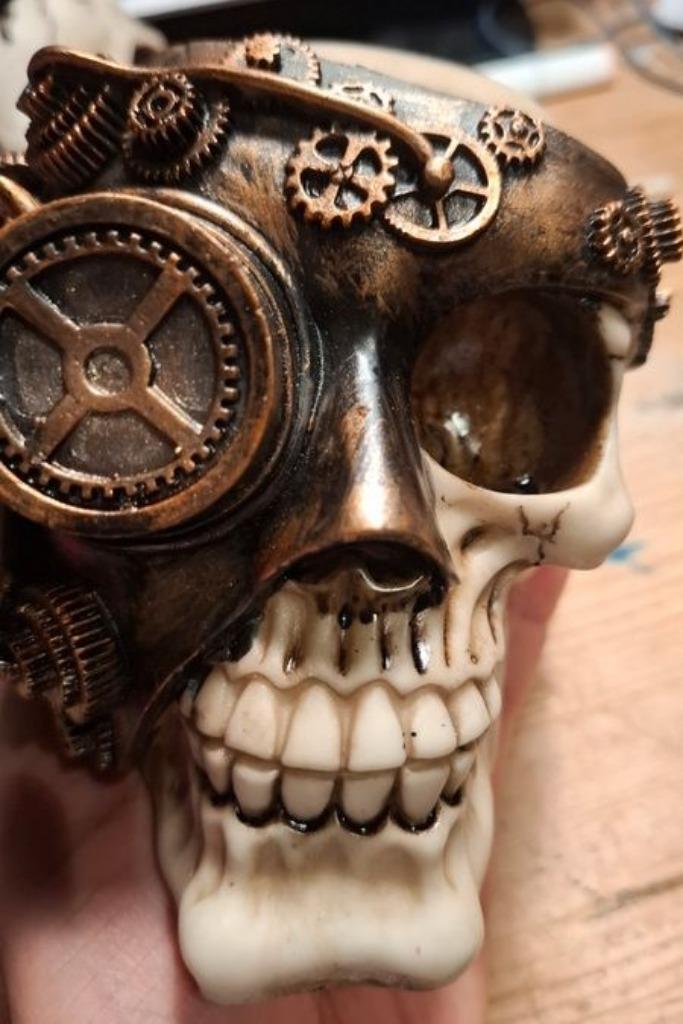 Schedelschedel, Diversen, Ophalen of Verzenden, Nieuw