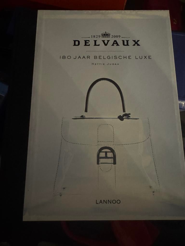 Delvaux boek, Ophalen of Verzenden, Zo goed als nieuw