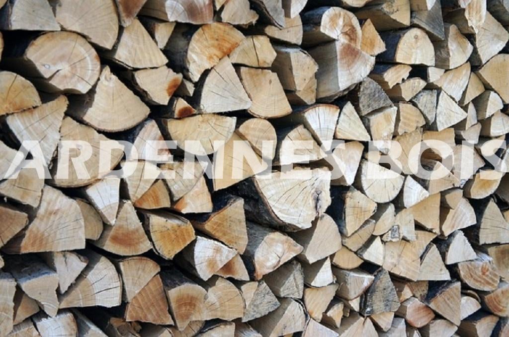 40 cm lang brandhout - Andere lengtes, Tuin en Terras, Verzenden, Beukenhout