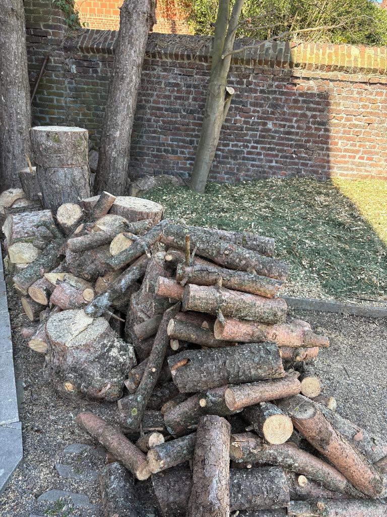 Bois de pin à donner, Moins de 3 m³, Enlèvement, Autres essences de bois, Bûches