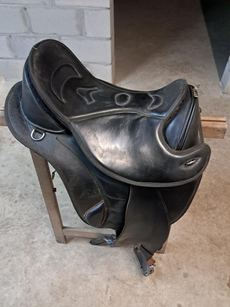 Zwart boomlooszadel FRA, Ophalen