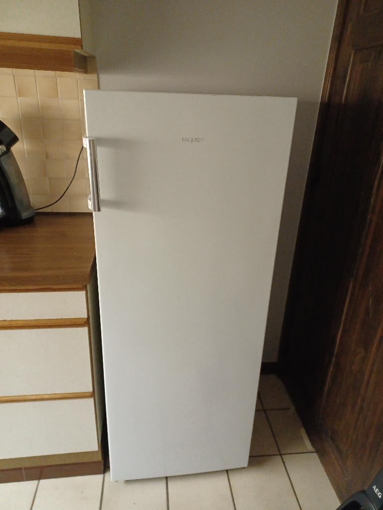 frigo, Elektronische apparatuur, Koelkasten en IJskasten, Ophalen, 200 liter of meer, 140 tot 160 cm, Zonder vriesvak