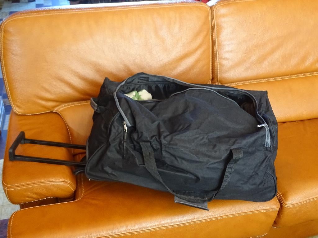 sacs de voyage, 30 cm ou plus, Moins de 40 cm, Roulettes, 55 à 75 cm