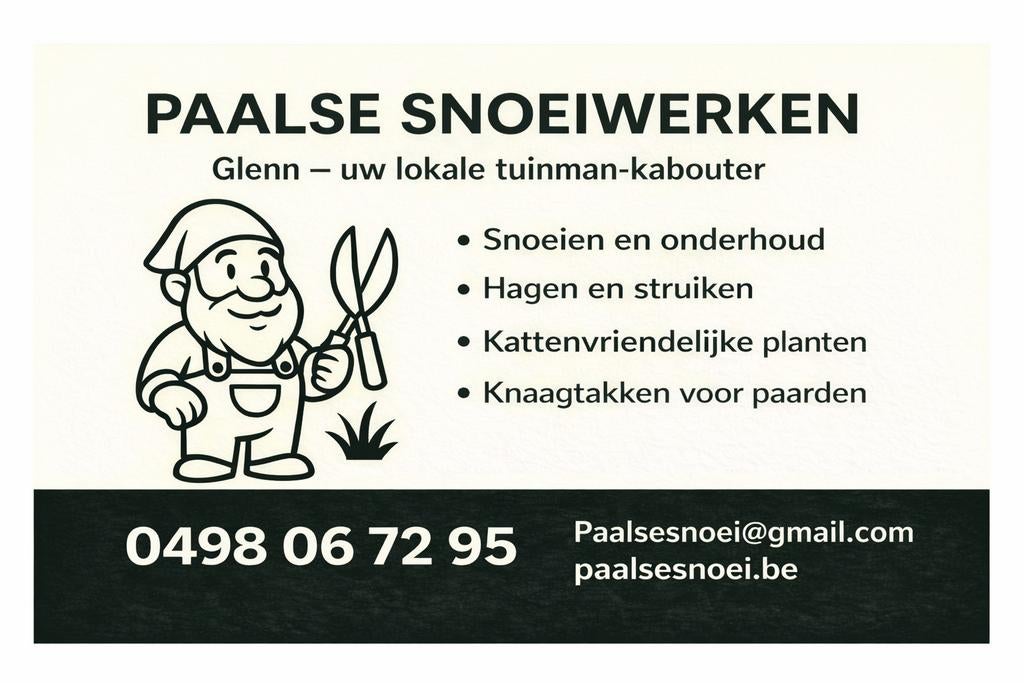 Tuinonderhoud snoeien snoeiwerk, hagen, struiken bomen, Diensten en Vakmensen