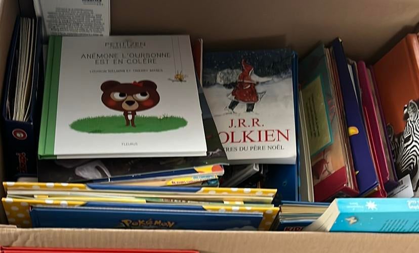 A donner - lot de livres, Ophalen, Gelezen