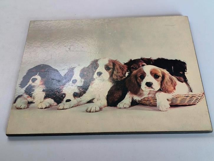 Prent op geperst hout, Cavalier King Charles, Ophalen of Verzenden