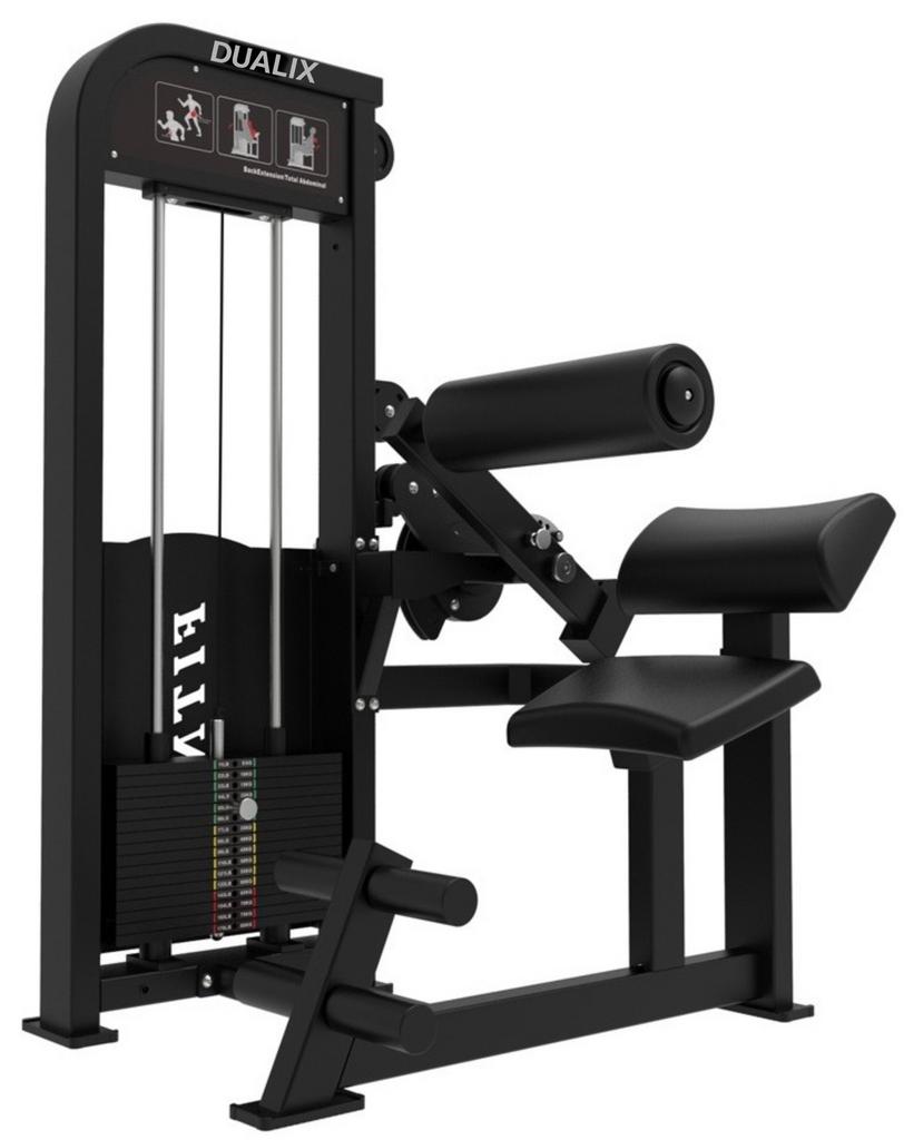 Dualix Titan Dual Abdominal et lombaire 100 kg Dos abdominal, Enlèvement ou Envoi, Neuf, Dos
