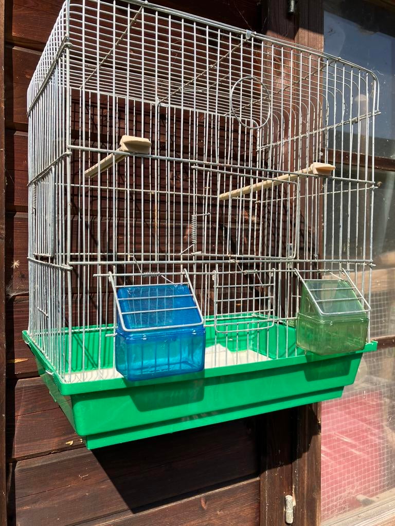 VANdaag: 2 GRASPARKIETJES MET KOOI VOOR 40 EURO, Dieren en Toebehoren, Mannelijk, Parkiet