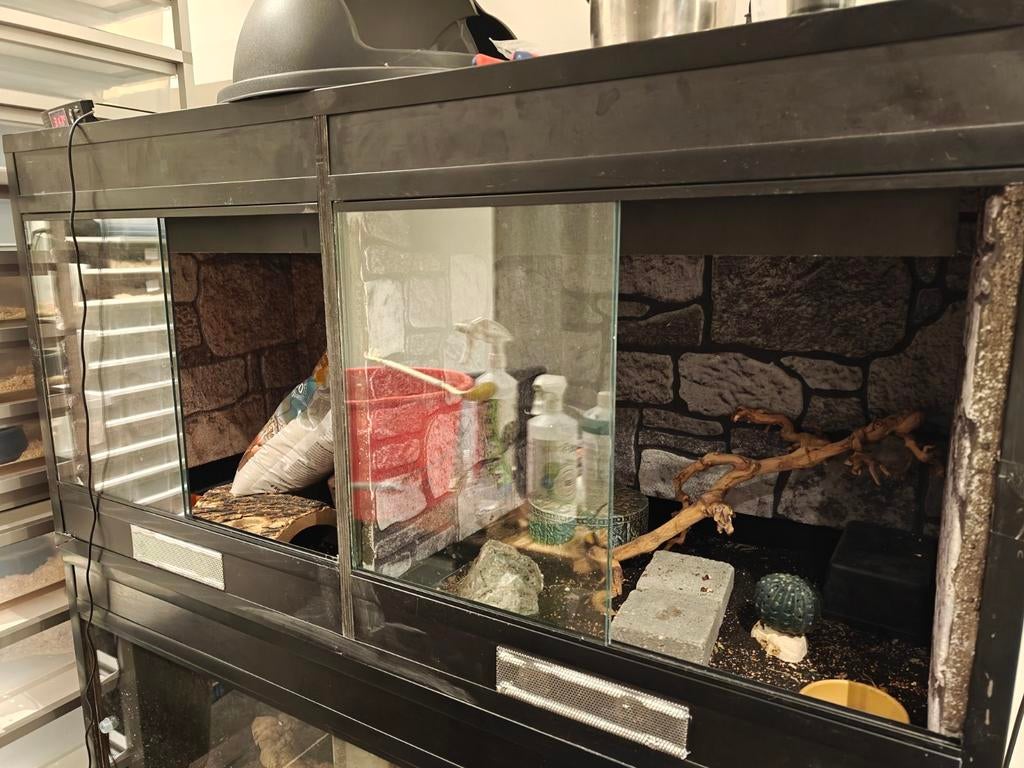 Prachtig Betonplex Terrarium, Dieren en Toebehoren, Ophalen, Zo goed als nieuw, Terrarium of Paludarium