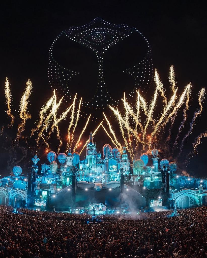 GEZOCHT: 1 ticket TOMMOROWLAND W2 zaterdag, Tickets en Kaartjes, Eén persoon