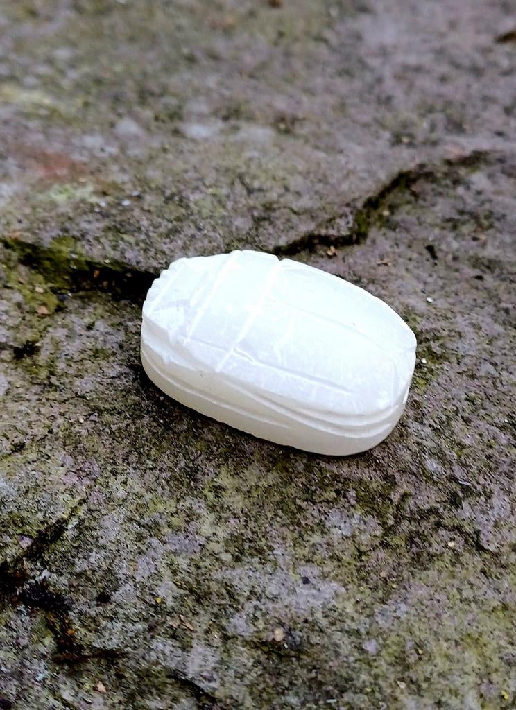 Petit scarabée égyptien, Enlèvement ou Envoi, Comme neuf