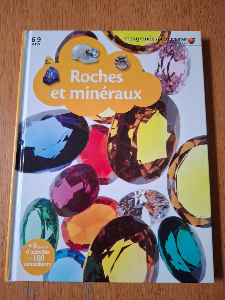 Livre "Roches et minéraux"  Gallimard jeunesse, Livres, Enlèvement, Comme neuf, Gallimard
