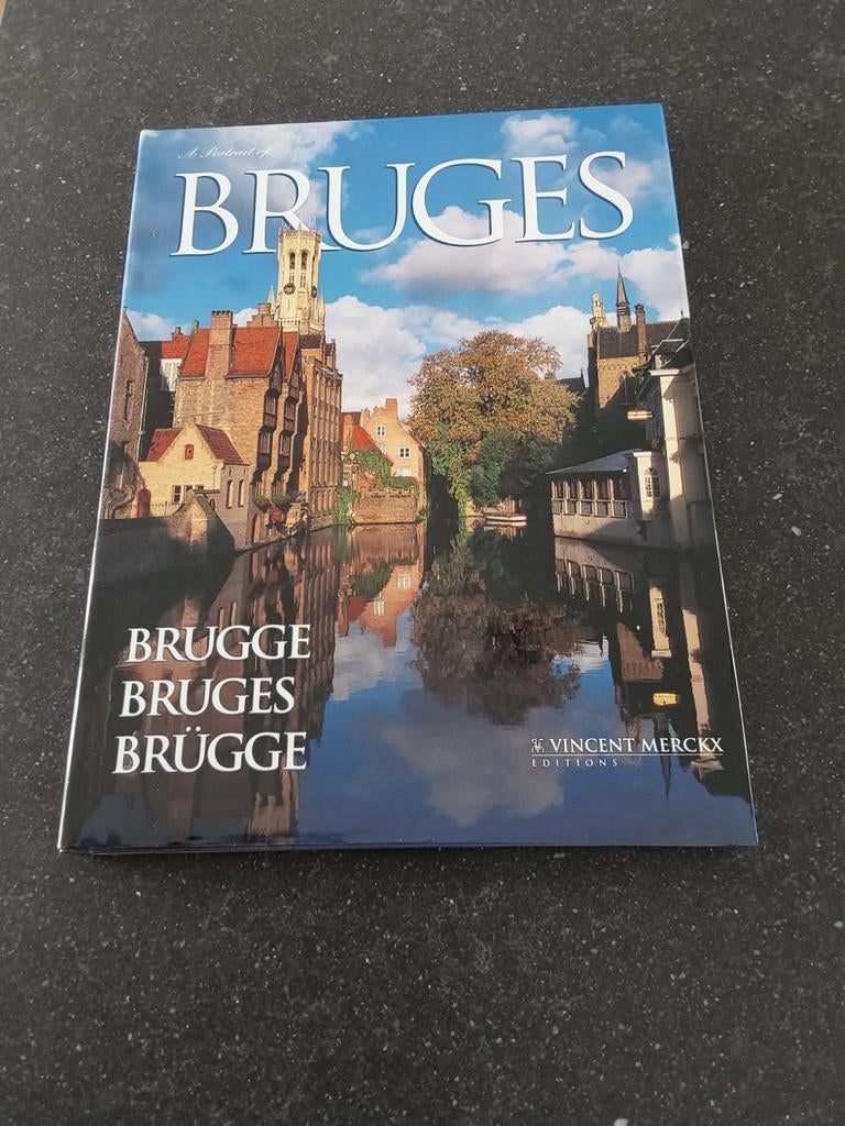 Bruges Brugge  Bruges  Brügge  4talen 10€, Boeken, Ophalen of Verzenden, Nieuw