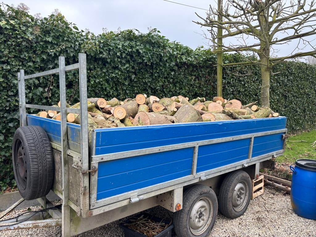 Bois de chauffage, Jardin & Terrasse, Bois de chauffage, Moins de 3 m³, Enlèvement, Frêne, Bûches