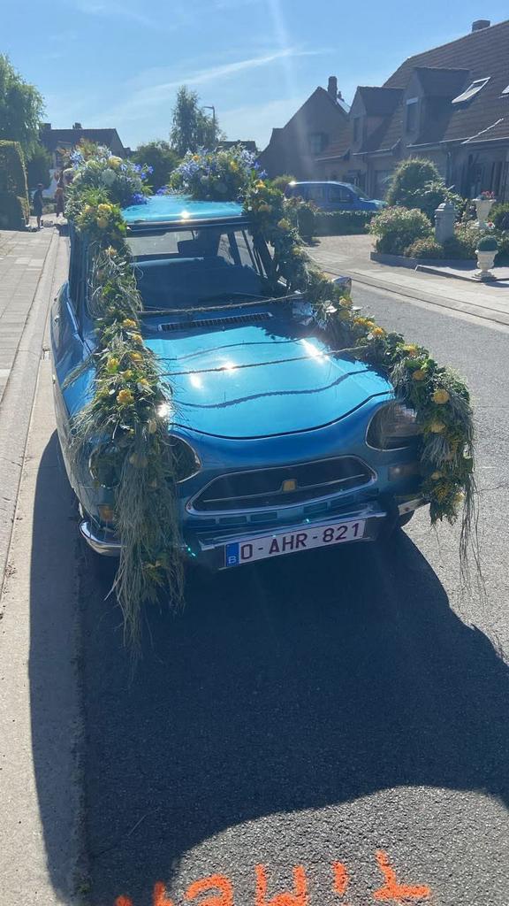 Citroen Ami Super à vendre, Autres modèles, Achat, Attache-remorque, Entreprise