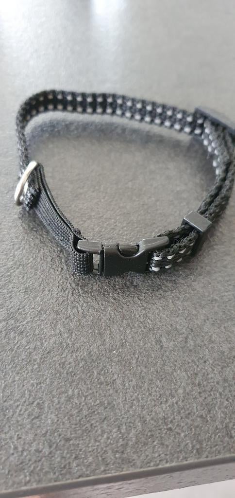 Collier pour chat, Enlèvement ou Envoi, Comme neuf