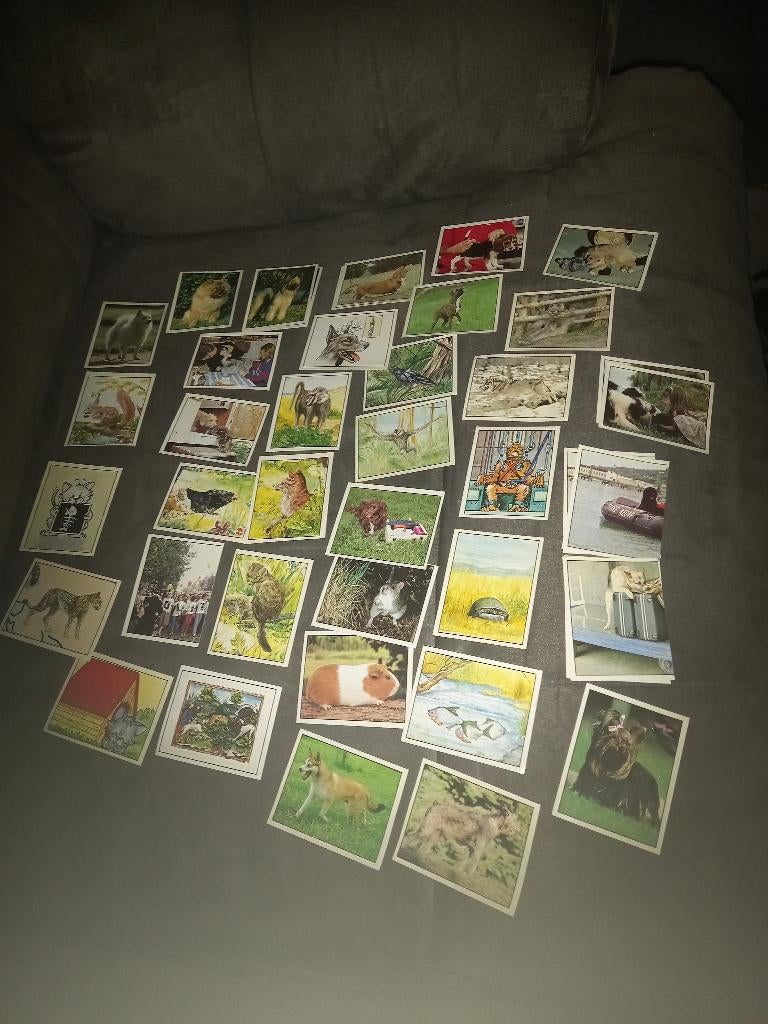 60 stikers panini animaux familiers vintage autocollants, Ophalen of Verzenden