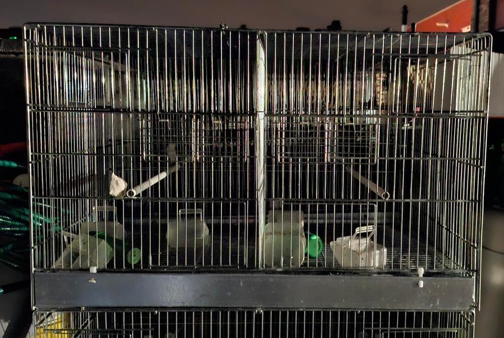 Nieuw kweek Kooi te koop, Animaux & Accessoires