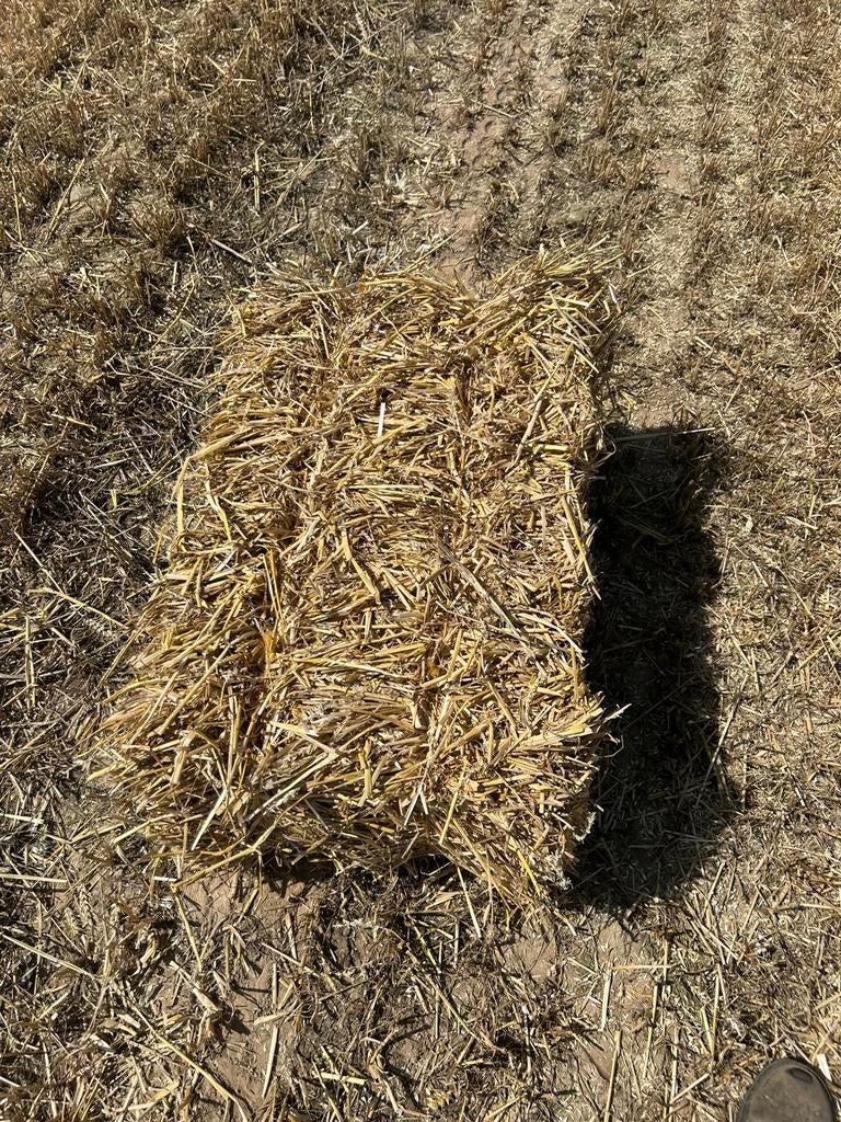 stro& hooi, Dieren en Toebehoren, Pony's