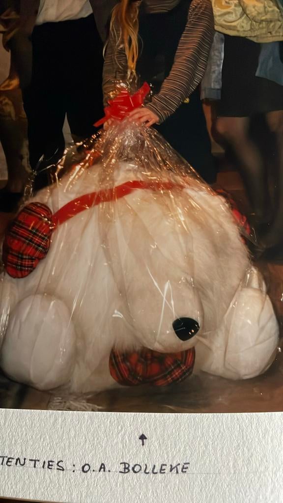 Russ Berrie beer, Ophalen of Verzenden, Beer