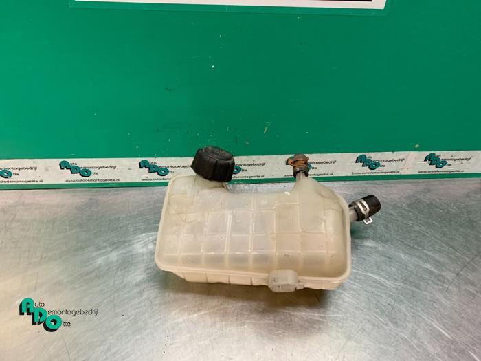 Réservoir d'expansion d'un Renault Megane (Megane 2 02-), Renault, -, 3 mois de garantie, Utilisé